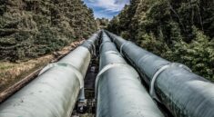 AI-Bio Pipeline