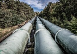 AI-Bio Pipeline