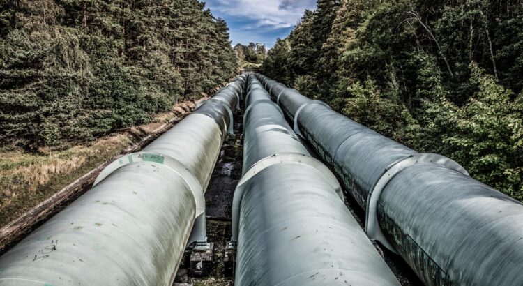 AI-Bio Pipeline